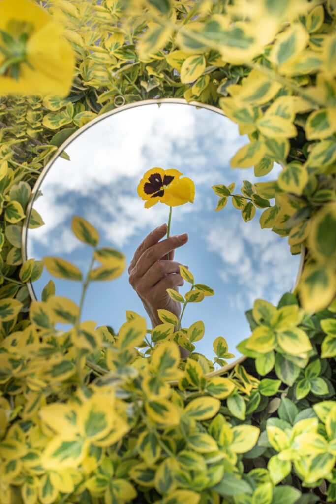 a round mirror surrounded by green and yellow leaves, the mirror reflects a blue sky with clouds and a hand holding a yellow and brown pansy